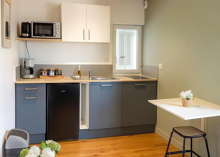 Studio Moderne, Cosy & Lumineux Chez Suzanne Daire